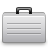 Metallic Briefcase