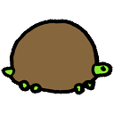 Tortoise