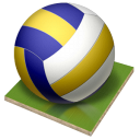 Volleyball