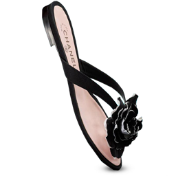 Chanel Pink Shoe