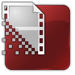 Flash Encoder