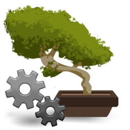 Network Service