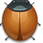 bug