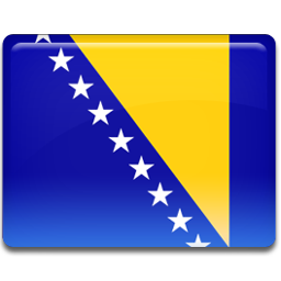 Bosnian Flag