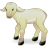 Lamb