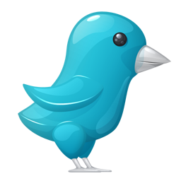 Plastic Twitter Bird