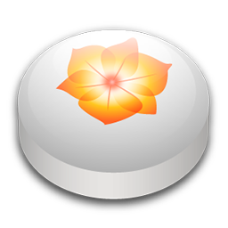 Adobe Illustrator CS2 puck