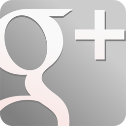 GooglePlus Grey