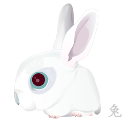 Rabbit zodiac