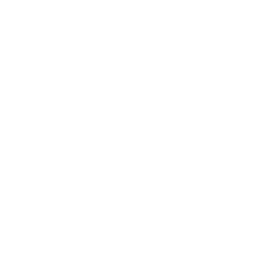 Metro Globul