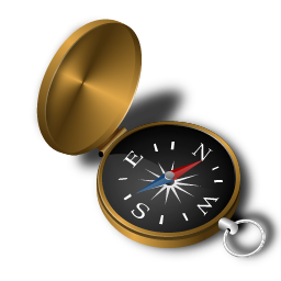 Gyro Compass