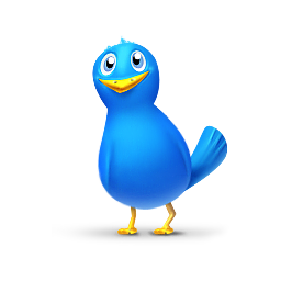 Single bird