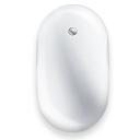 Mouse front
