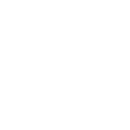 Metro Net