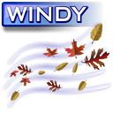 Windy