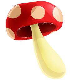 Forest mushroom