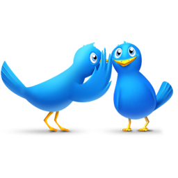 Gossip birds
