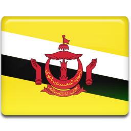 Brunei Flag
