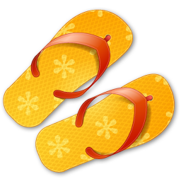 Flip Flops