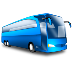 Travel Bus