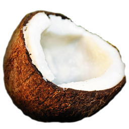 Coconut