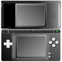 Nintendo DS Black