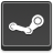 Steam