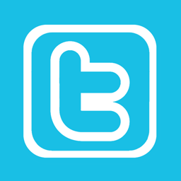 Twitter Alt 1 Metro