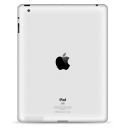 iPad Back Scratch