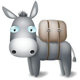 Donkey