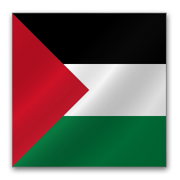 Palestine flag