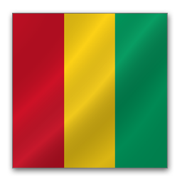 Guinea Flag