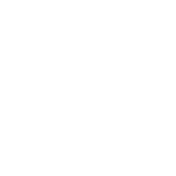 Metro Phone