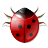 Bug