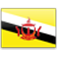 Brunei Flag