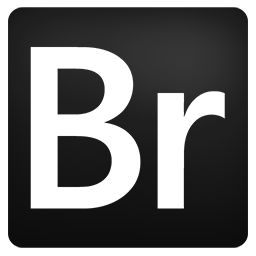 Adobe Bridge CS6