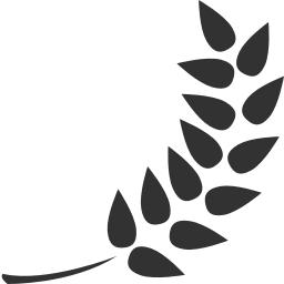 Barley