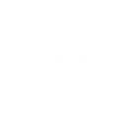 Blank