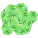 Brussels Sprout
