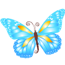 Butterfly Blue