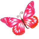 Butterfly Pink
