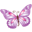 Butterfly Purple