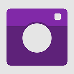 Camera flat