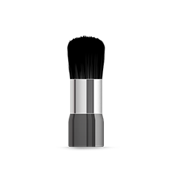 Cosmetic Brush