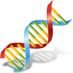 DNA