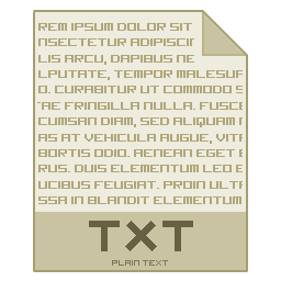 File Txt