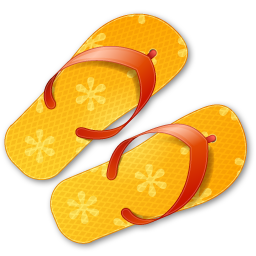 Flip Flops