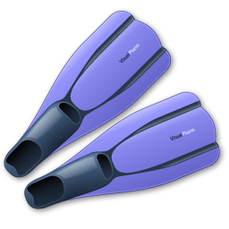Flippers