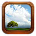 Gallery Frame Tree