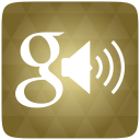 Google Voice Search